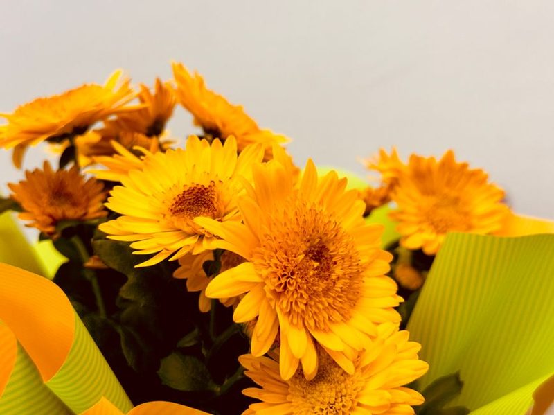 Karnak Evening Bouquet